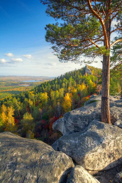 Podzimní krajina s horami a borovice — Stock fotografie