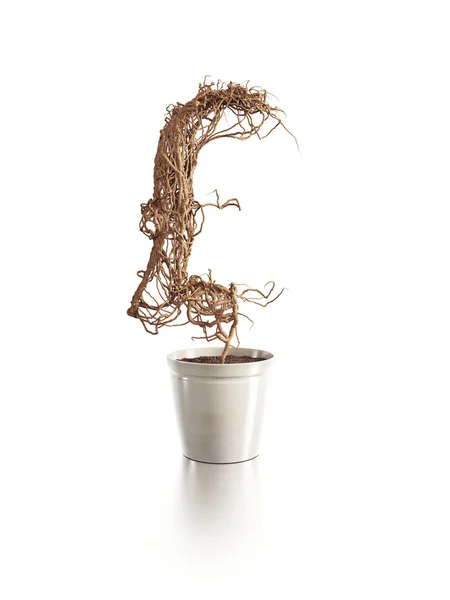 stock image Withered pound tree