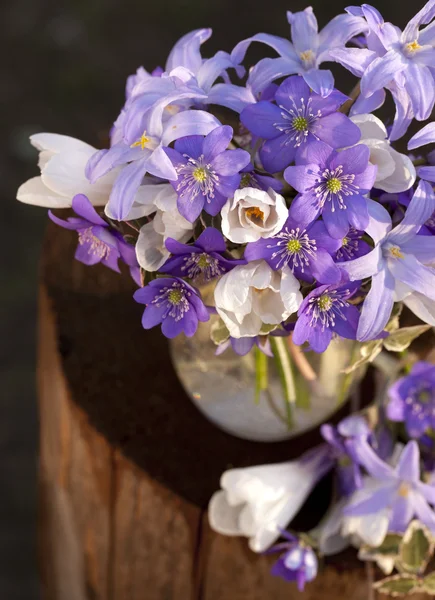 春の花の花束 — ストック写真