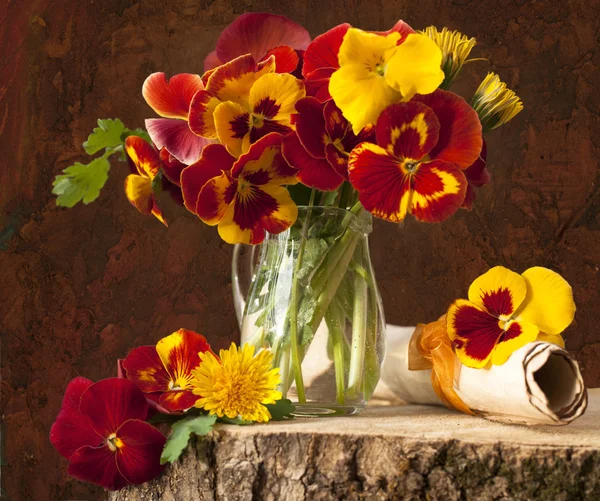 Bouquet flowering pansy — Stock Photo, Image