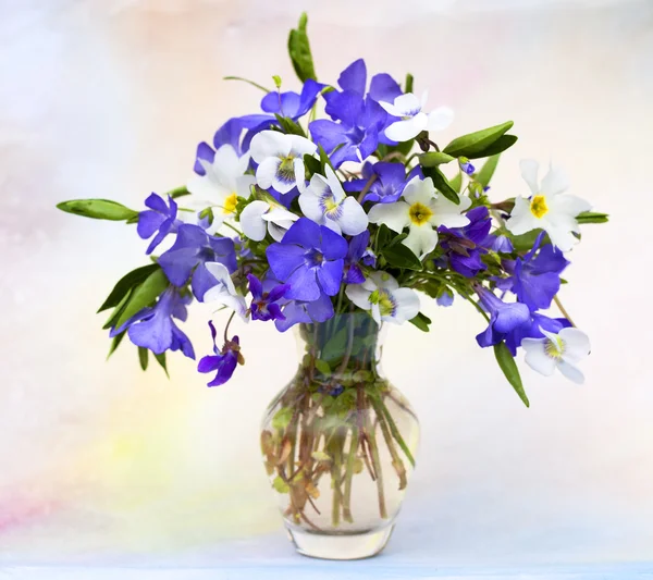 Bouquet floraison — Photo