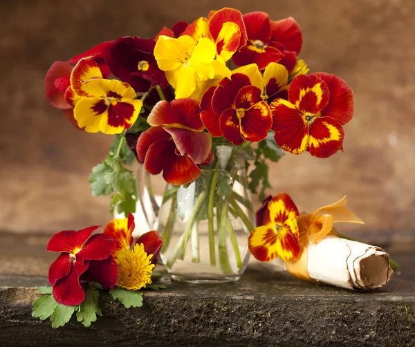 Kytice kvetoucí maceška — Stock fotografie