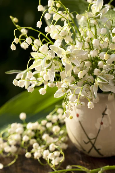 Bouquet Lily of the valley — Stock Photo, Image