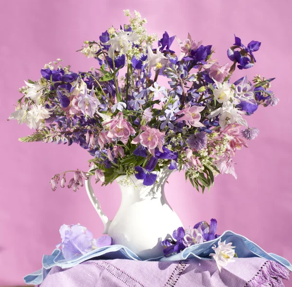 Blumen Aquilegia und Iris — Stockfoto