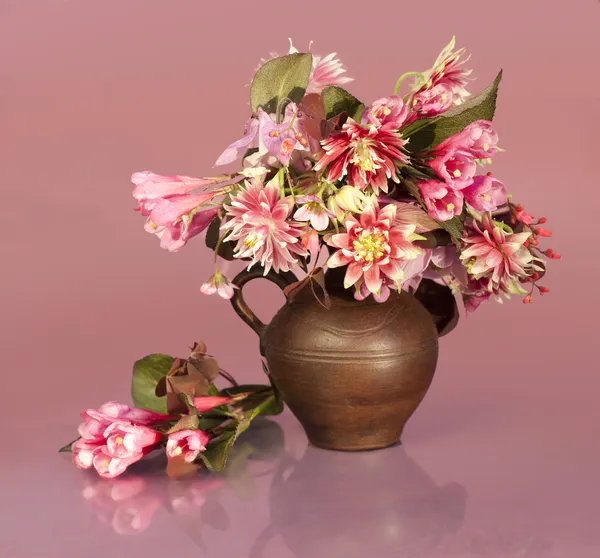 Blüten-Aquilegien — Stockfoto