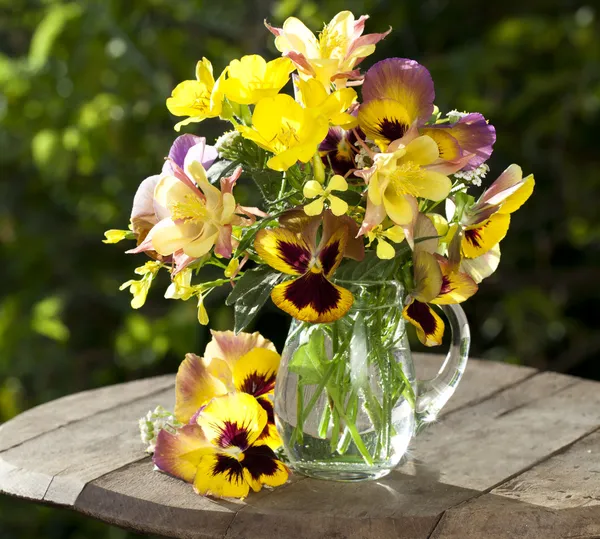 Flowers pansies in a jar — Stock Photo, Image