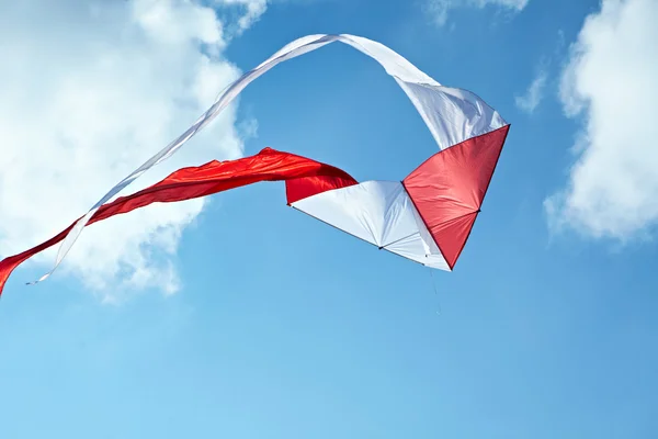 stock image Kite in sky