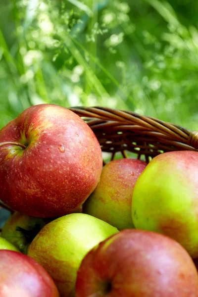 Red and yellow apples in the basket — Stock Photo, Image