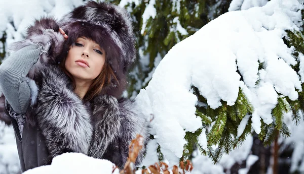 Güzellik kadın kış manzarası Stok Fotoğraf