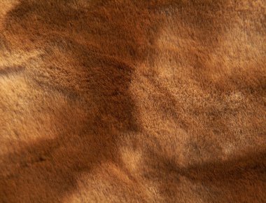 Fur texture. Background clipart