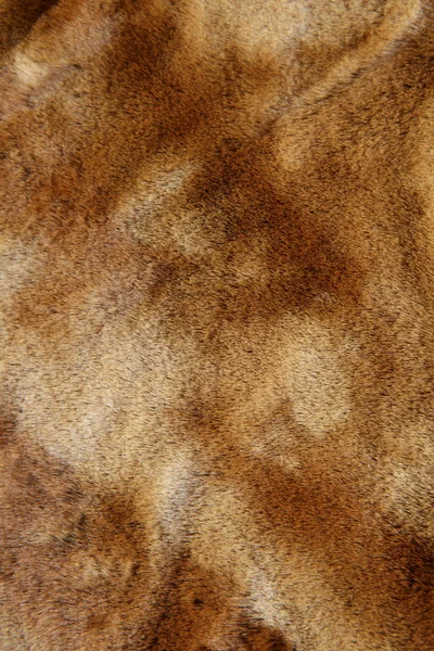 Fur texture. Background — Stock Photo, Image