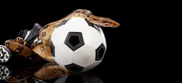 Football snake — Stock Photo, Image