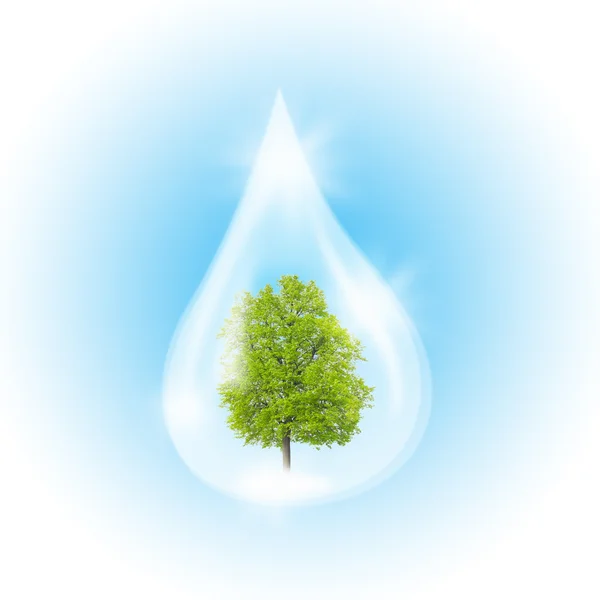 Tree in the drop — Stock Photo, Image