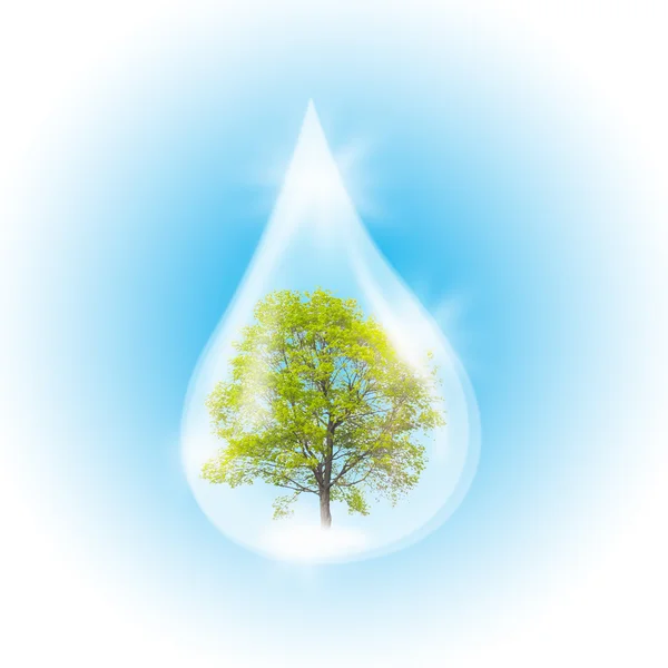 Tree in the drop — Stock Photo, Image
