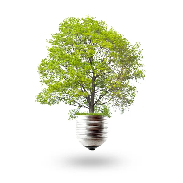 녹색 에너지 개념 — 스톡 사진