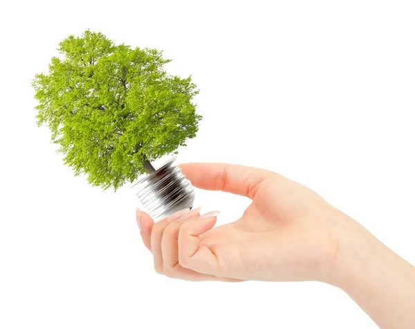 Mão e lâmpada ecológica — Fotografia de Stock