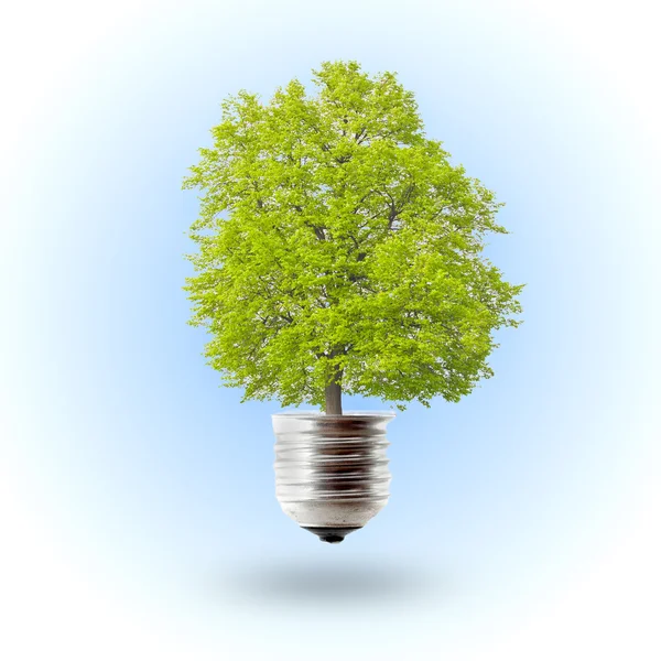 Koncepcja zielonej energii — Zdjęcie stockowe