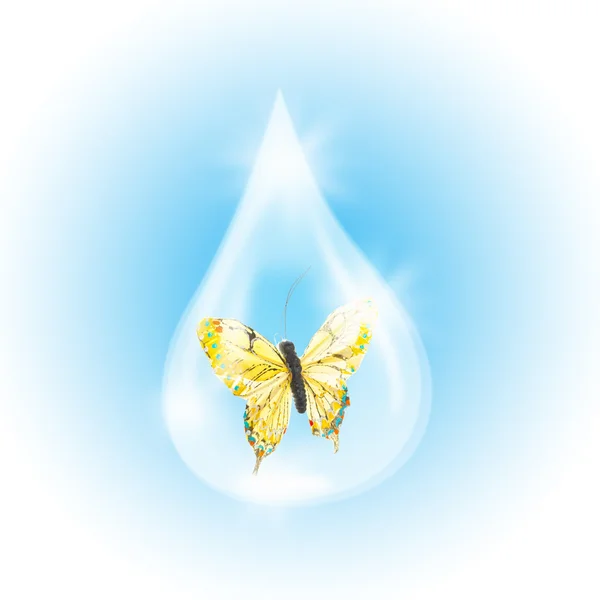 Butterfly in the drop of water — Stock Photo, Image