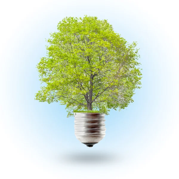 Grünes Energiekonzept — Stockfoto
