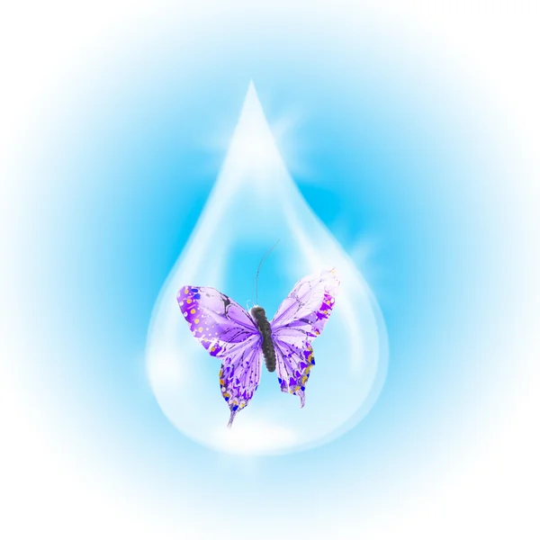 Butterfly in a drop of water — Stock Photo, Image