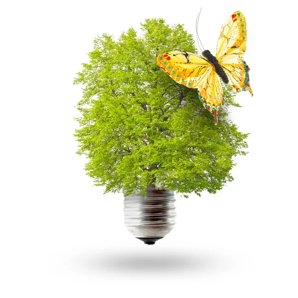 Eco lightbulb and butterfly — Stock Photo, Image