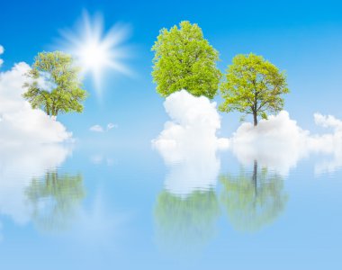 Trees growing out of the clouds clipart