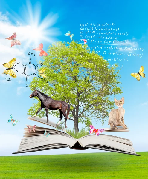 Livro mágico com uma árvore verde e diferentes animais — Fotografia de Stock