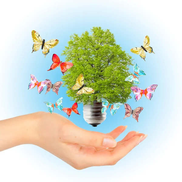 Hand and green tree in light bulb — Stock Photo, Image