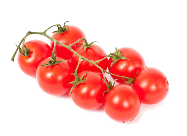 Los tomates en blanco —  Fotos de Stock