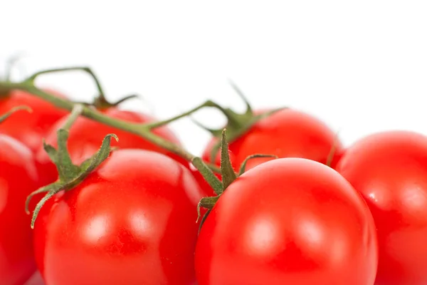 Beyaz bir domates — Stok fotoğraf