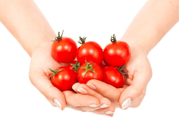 Tomatoes cherry in female hands — Stok fotoğraf