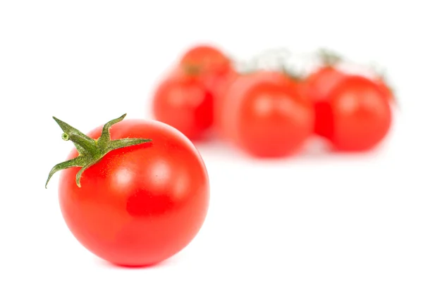 Beyaz bir domates — Stok fotoğraf