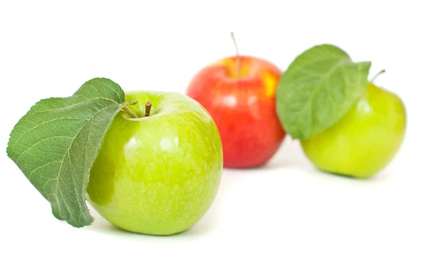 Зелені та червоні яблука — стокове фото