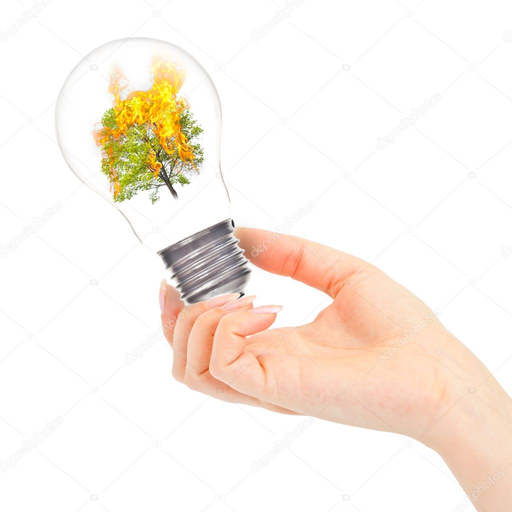 Light bulb with burning tree inside in hand