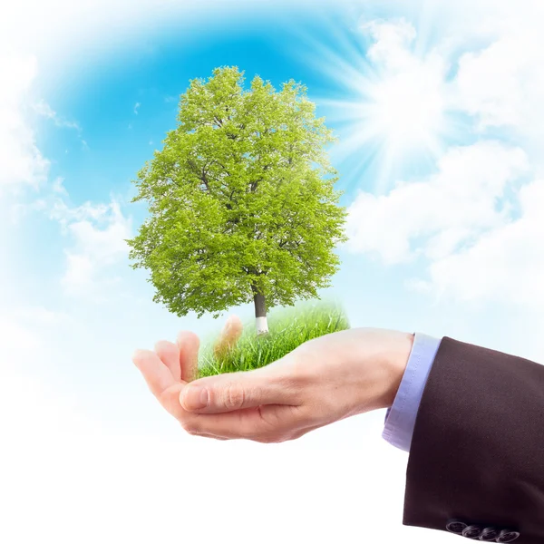 Human hand with grass and tree — Stock Photo, Image