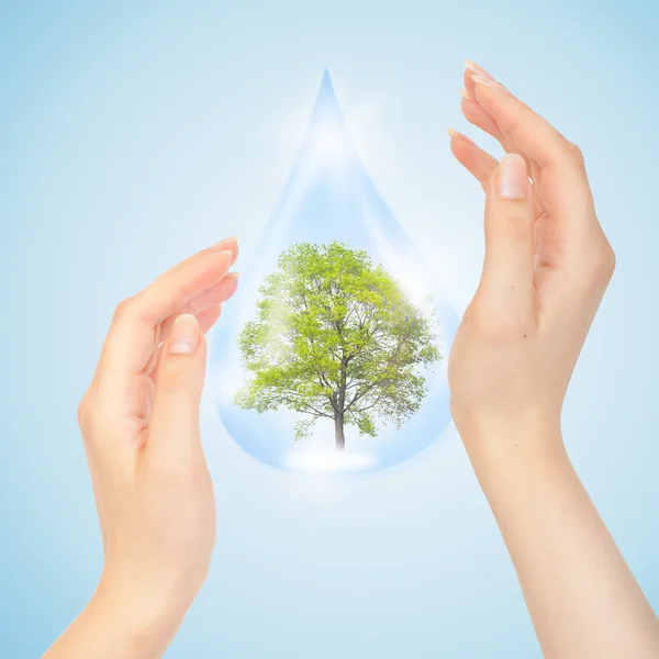 Drop of water with Tree inside and hands — Stock Photo, Image