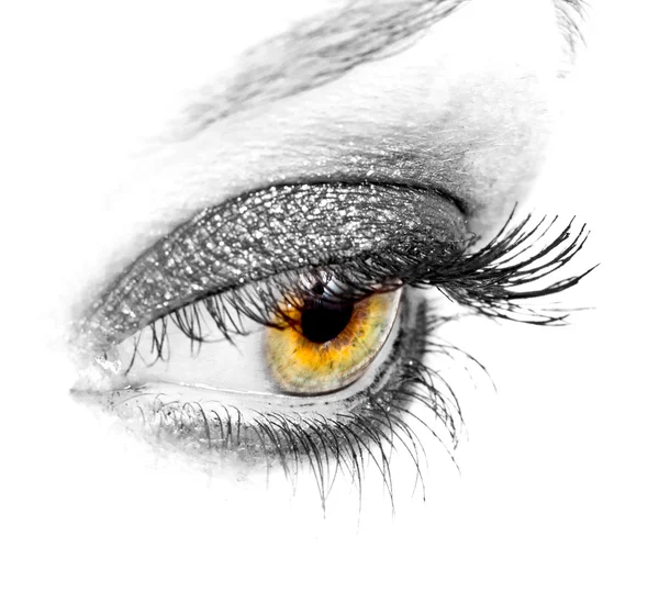 Close-up black eye — Stock Photo, Image