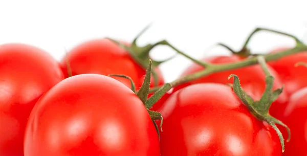 Tomates em um branco — Fotografia de Stock
