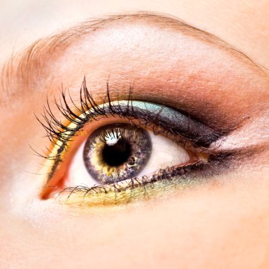 Close-up of beautiful womanish eye clipart