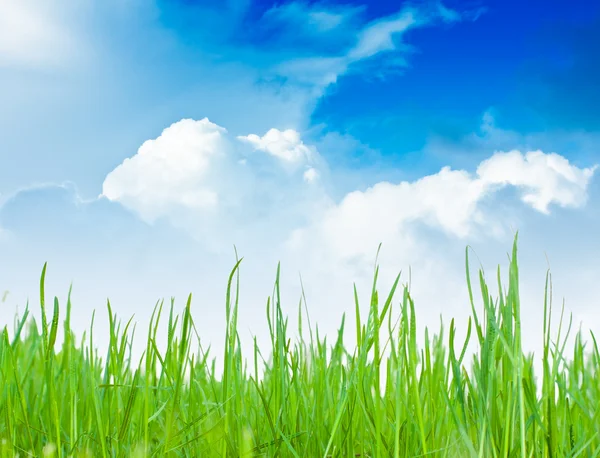 Yeşil alan ve gökyüzü — Stok fotoğraf