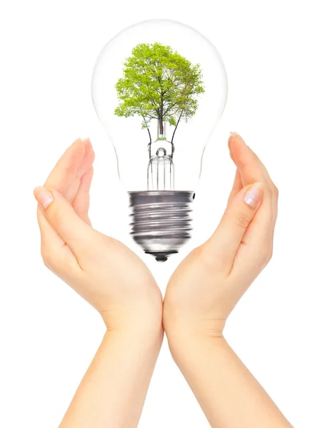 Hands and eco light bulb — Stock Photo, Image