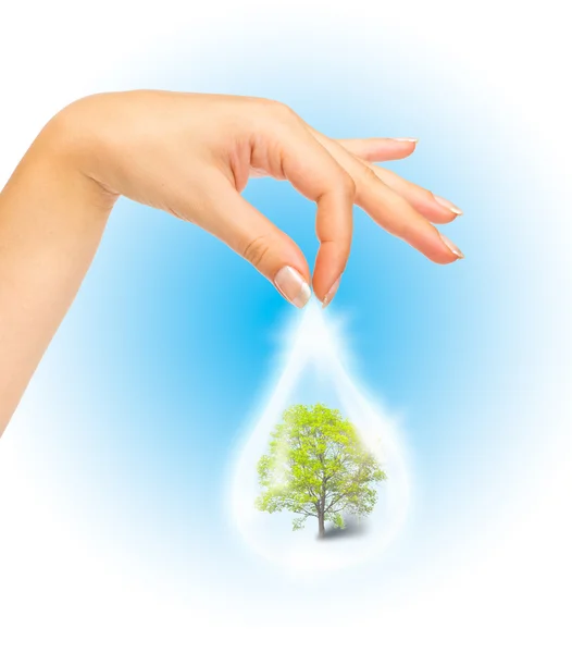 Drop of water with Tree inside and human hand — Stock Photo, Image