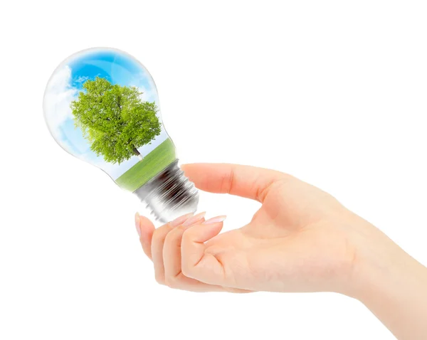 Környezetvédelmi koncepció megújuló energia — Stock Fotó