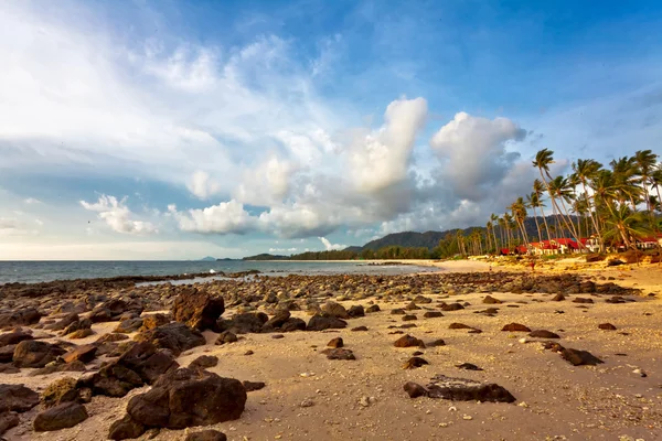 Sulla spiaggia tropicale di sabbia . — Foto Stock