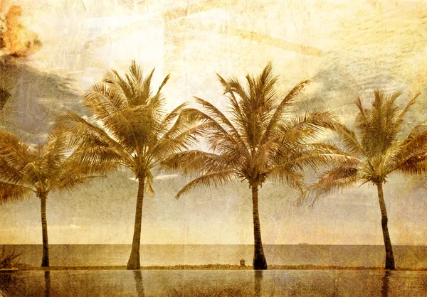 Spiegelungen von Palmen im Pool — Stockfoto