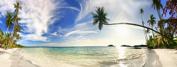Egzotik tropikal plaj. — Stok fotoğraf