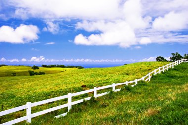 büyük ada manzarası. Hawaii