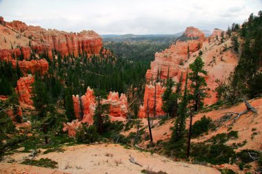 bryce canyon bakış açısından görüntüleme. Utah. ABD