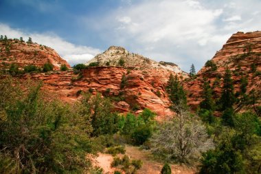 zion canyon yamaçları. Utah. ABD.