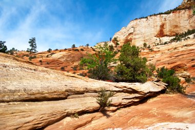 zion canyon yamaçları. Utah. ABD.